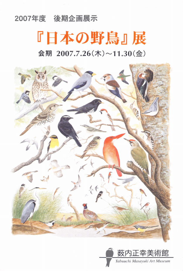 「『日本の野鳥』展」DMハガキの表面