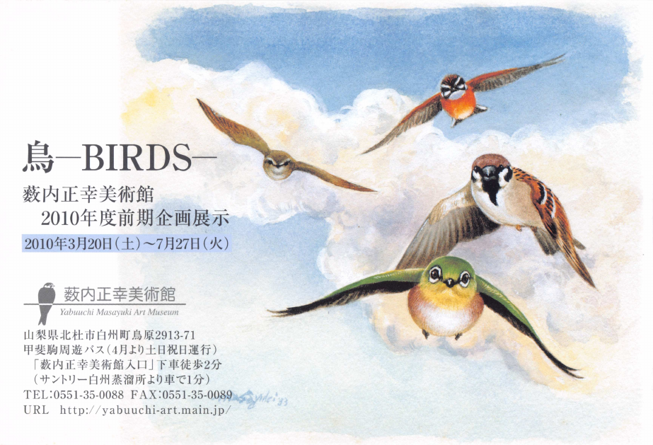 「鳥—BIRDS—」DMハガキの表面