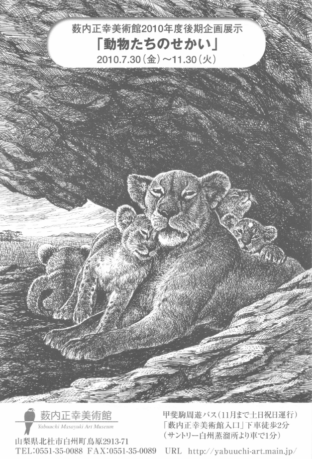「「動物たちのせかい」」DMハガキの表面