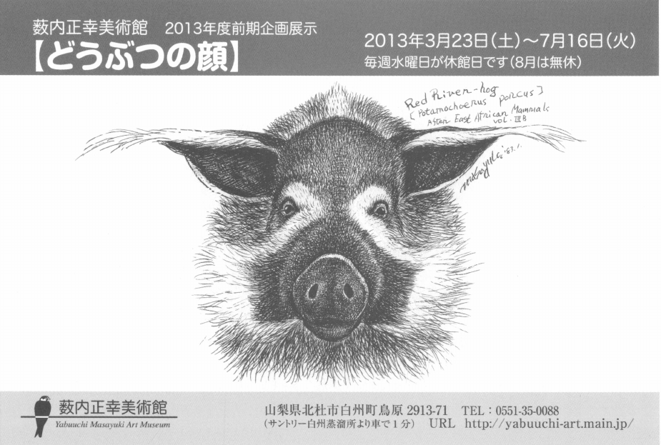 「【どうぶつの顔】」DMハガキの表面