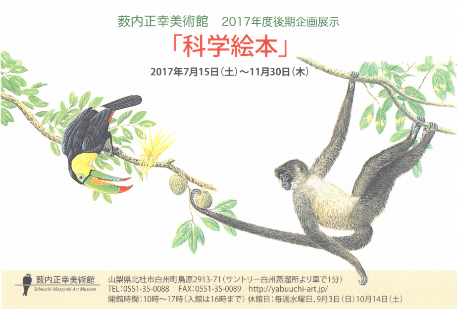 「「科学絵本」」DMハガキの表面