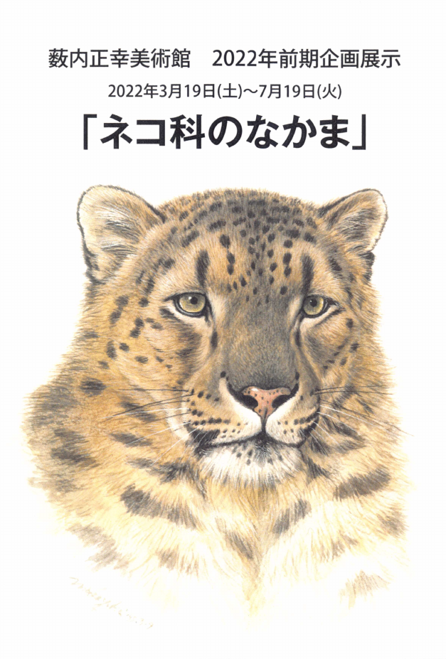 「「ネコ科のなかま」」DMハガキの表面
