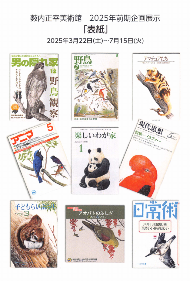 「「表紙」」DMハガキの表面